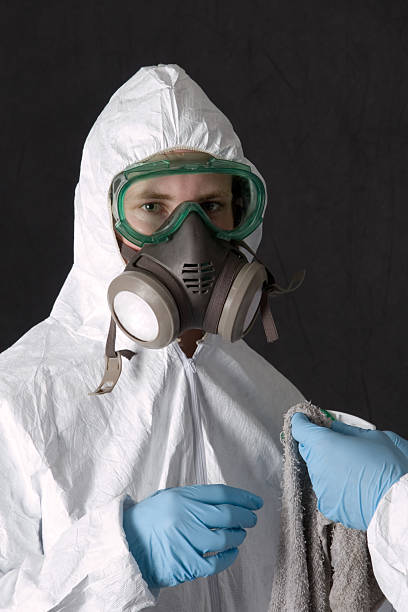 Best Industrial Mold Remediation  in Raymond, WA